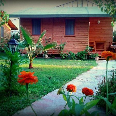 Sera Pansiyon Çıralı Kamer foto