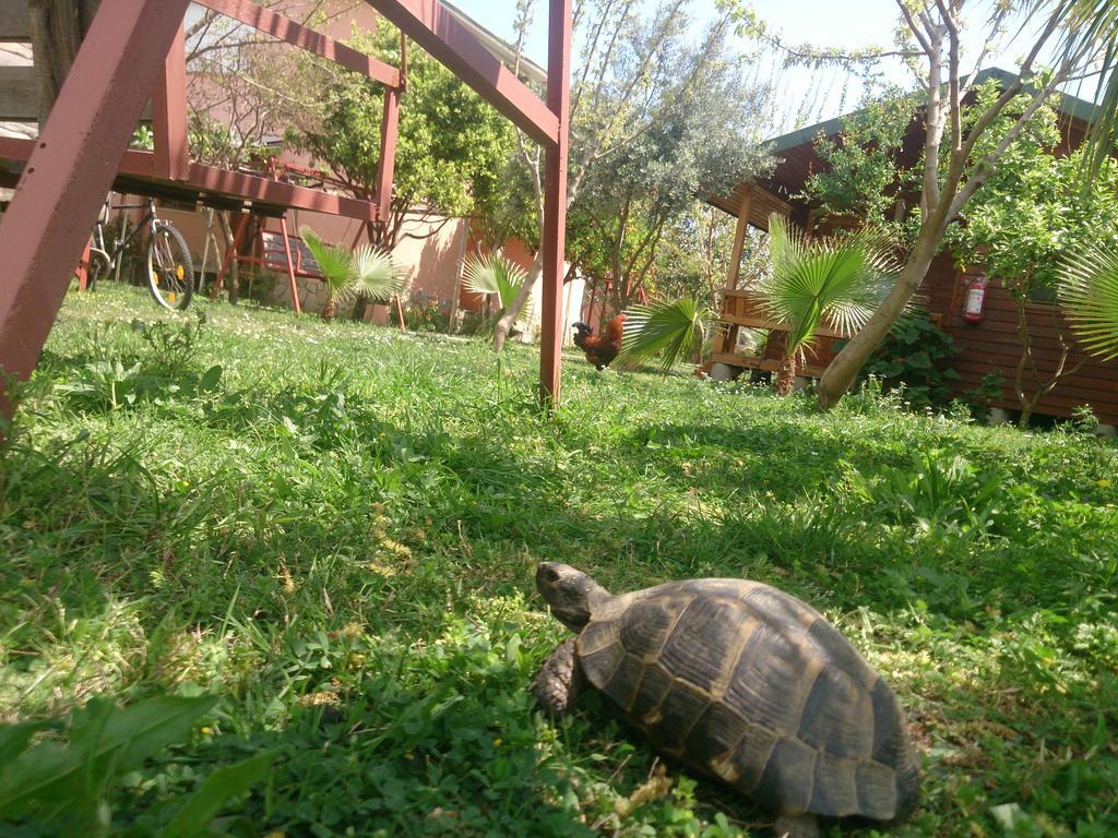 Sera Pansiyon Çıralı Buitenkant foto